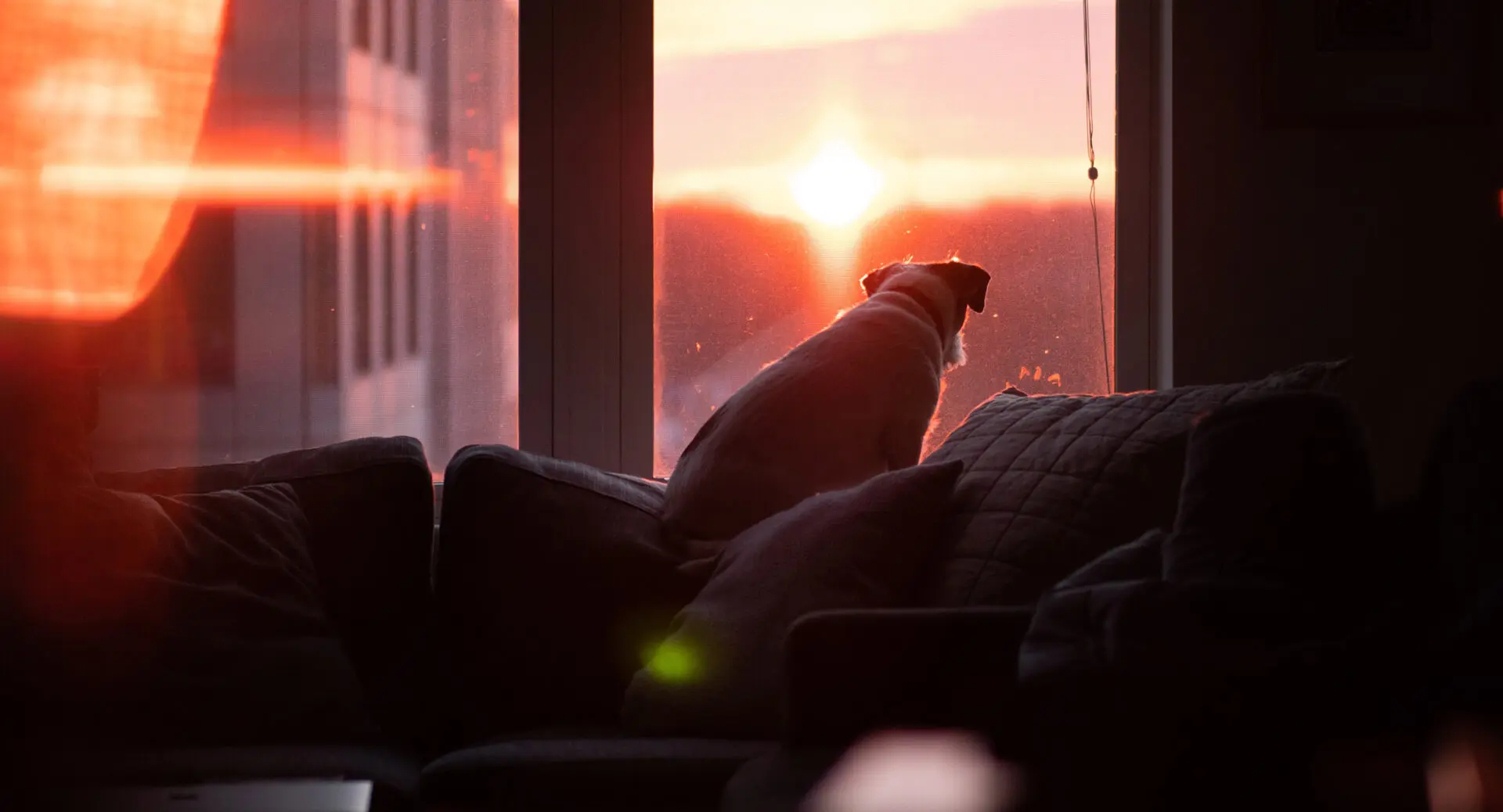 „Es hat sich eine Art Corona-Biedermeier etabliert“