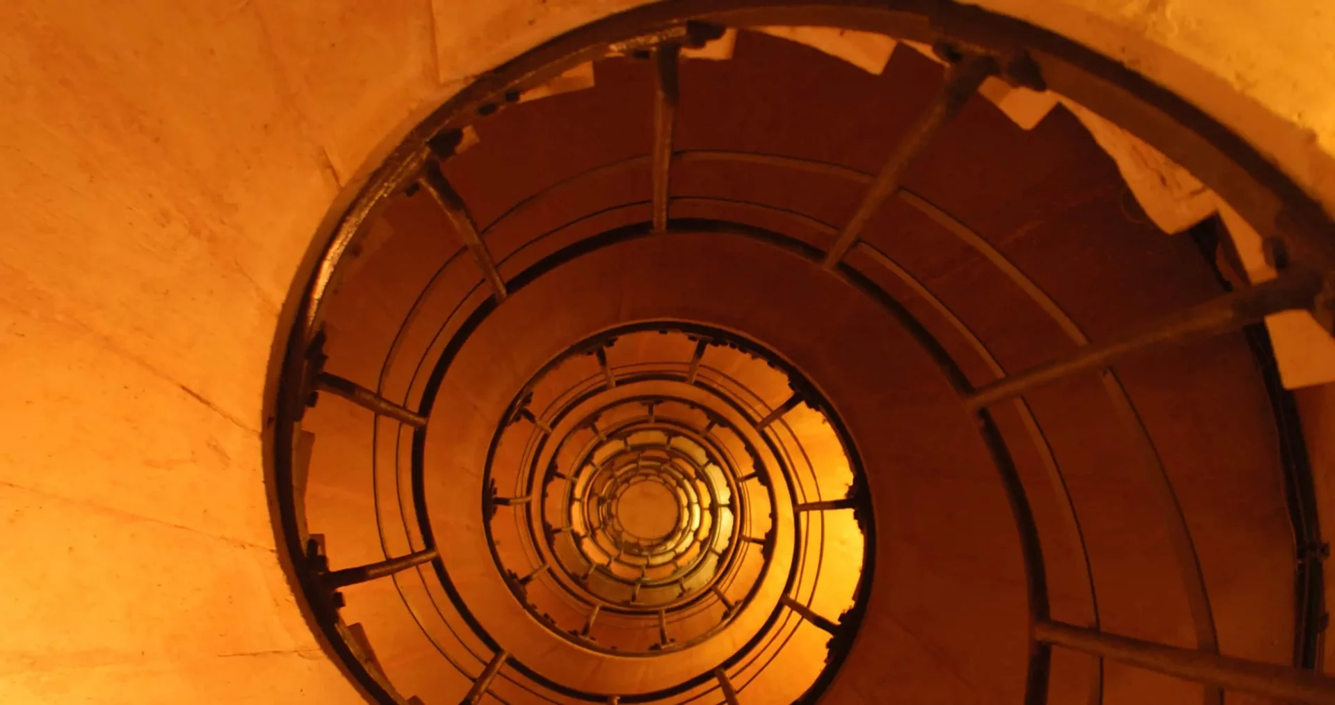 Tausendfach bewährt – die rheingold Tools